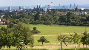 Renaissance der Region