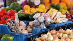 Käufer greifen wieder mehr zu günstigem Obst und Gemüse