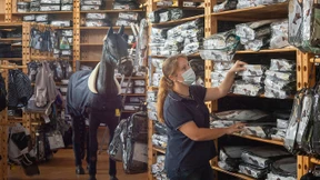 Alles für Ross und Reiter