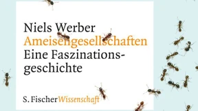 Im Superorganismus wird immer kommuniziert