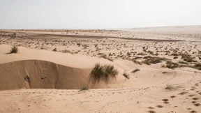 „Deutschland benötigt große Mengen importierter grüner Energie“