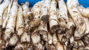 Vor uns die schönste Zeit des Jahres