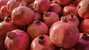 Substanz aus Granatapfel stärkt Immunsystem