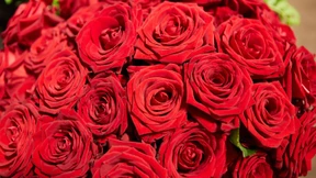 Hilfe, mein Mann schenkt mir Blumen!