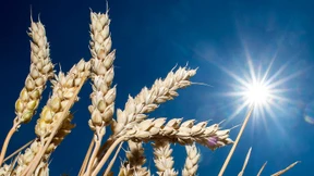 2019 war Europas wärmstes Jahr