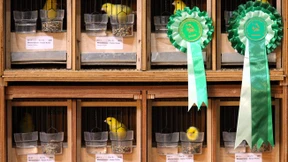 Angst vor kleinen Zinsen kann zu großem Verlust führen