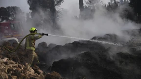 Waldbrände in Israel unter Kontrolle