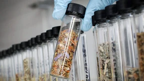 Zahl der Drogentoten steigt weiter