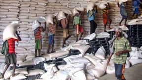 Die Pandemie namens Hunger