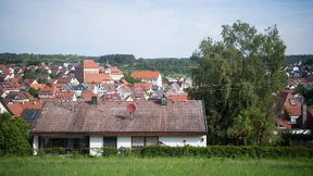 Nachbarn müssen Bäume an Grundstücksgrenze dulden