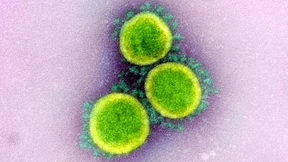 An den Grenzen der Verfassung