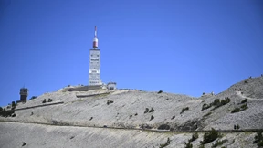 Petrarca ist wieder in Sicht