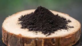 Grüne Batterien aus Holzabfall