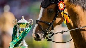 Das Auge kämpferisch, gespitzt das Ohr und leuchtend das Fell