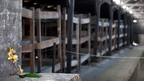 Lange vergessene Opfer des Nationalsozialismus