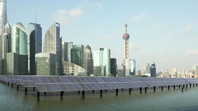 Green Belt, green Road – Start einer ökologischen Wende