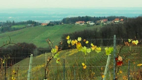 Der Grenzzaun der deutschen Nationalmoral