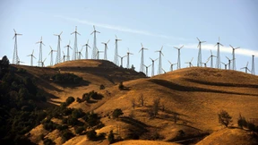 Wie Kapitalismus und Technik das Klima retten