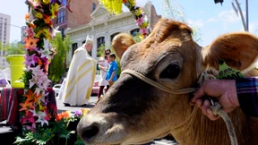 Ostersegen für Tiere in Los Angeles
