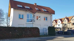 Im vereinigten Sport-Biotop