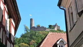 Exoten an der Bergstraße