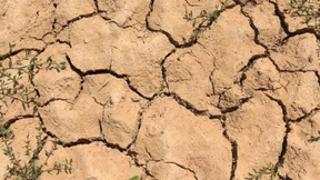 Regen, Rückblick, Rösser