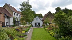 Für knallige Raketen im Beet