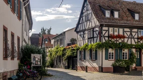 Landrat und Bürgermeister im Taunus gesucht