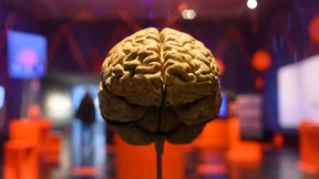 Nicht einmal die Entwickler verstehen genau, wie ChatGPT funktioniert