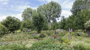 Das Trugbild des Bauerngartens