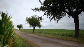 Sie verschwand an einem Feldweg