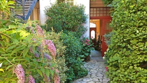 Warum werden nicht mehr Dächer und Fassaden begrünt?