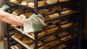 Handwerkspräsident fordert Entlastung bei Sozialabgaben