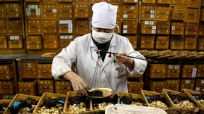 Chinesische Medizin schlägt auf die Leber