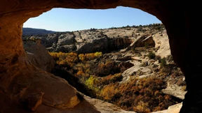 Die Schrecken des Eises und der Finsternis