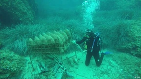 Tauchen für einen besonderen Wein