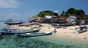 Zwei Drittel der Korallenriffe übernutzt