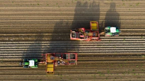 Wirtschaftsminister Habeck verteidigt Entscheidung zum Agrardiesel