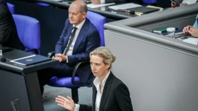 Jetzt hat es die Ampel AfD-blau auf weiß