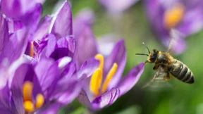 Am Wochenende wird es warm