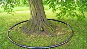 Warum Jeff Koons’ Handwerker auf eine Smart-City-Messe gehen