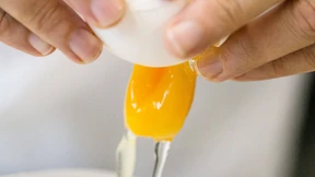 Das sollten Verbraucher über den Fipronil-Skandal wissen