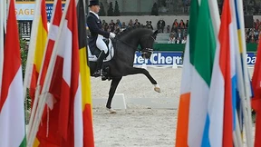 Das Wunderpferd liefert nicht