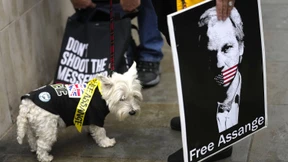 Berufungsverfahren gegen Julian Assange beginnt in London