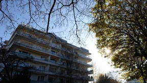 Gurlitt und kein Ende