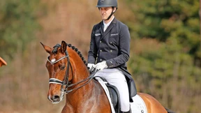 Weltpferd auf dem Sprung