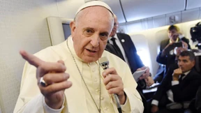 Papst befürwortet Einsatz im Nordirak