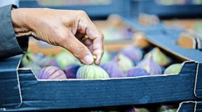 Empfindliche, aber vielseitige Frucht