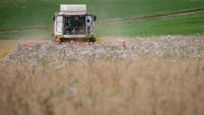 Landwirtschaftliche Erzeugerpreise mit stärkstem Anstieg seit 1961