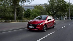 Meister alter Tugenden